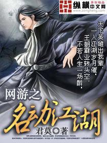 网游之名动江湖 书评