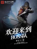 欢迎来到boss战队