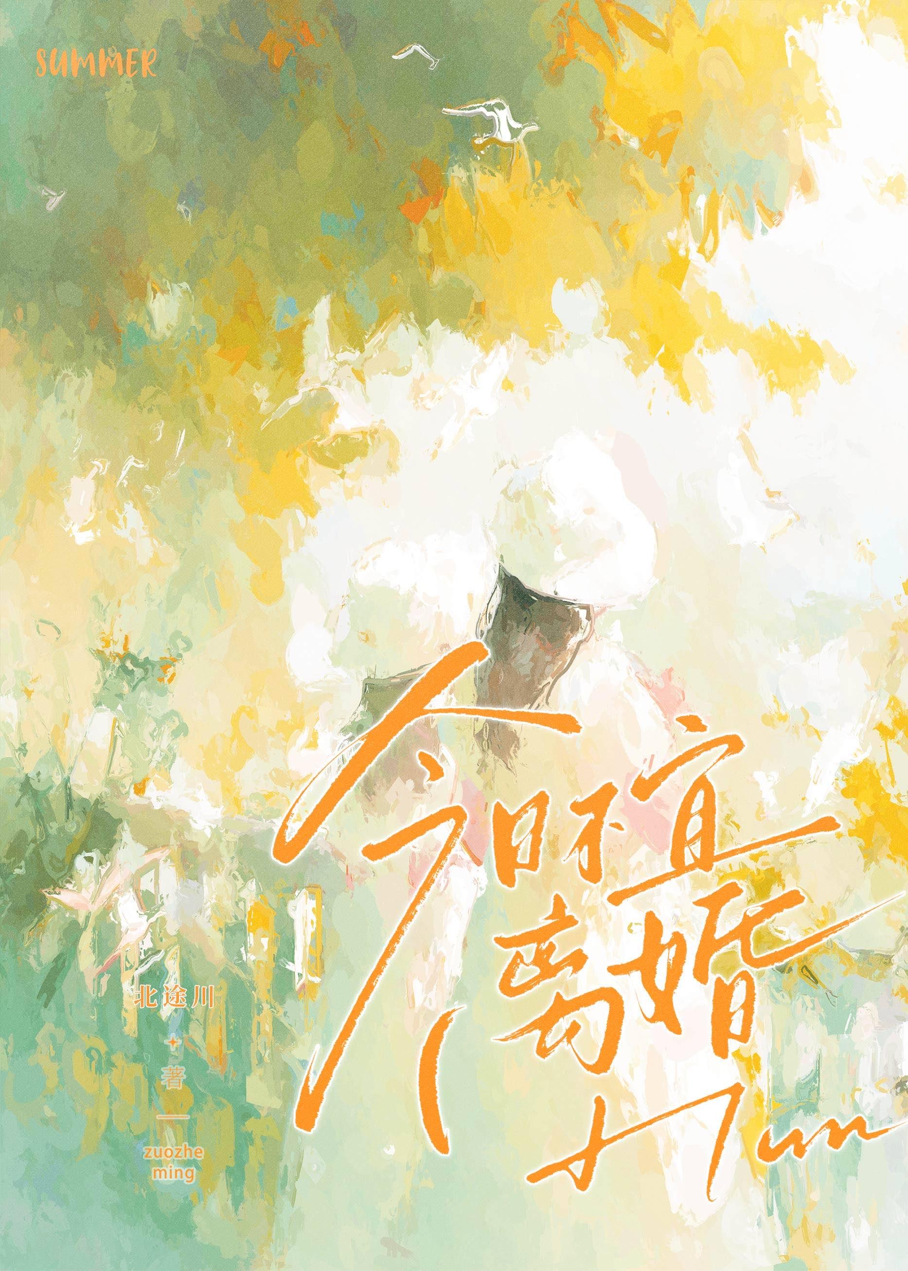 今日不宜离婚txt番外