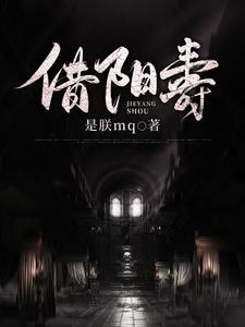 借阳寿免费阅读