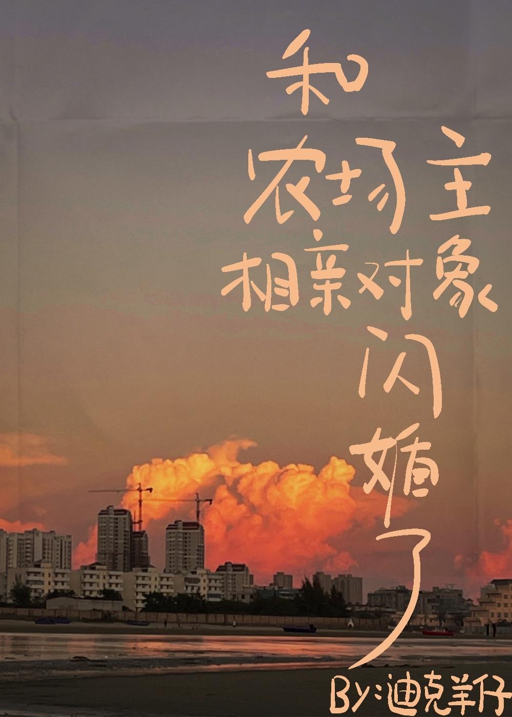 和农场主相亲对象闪婚了讲的什么