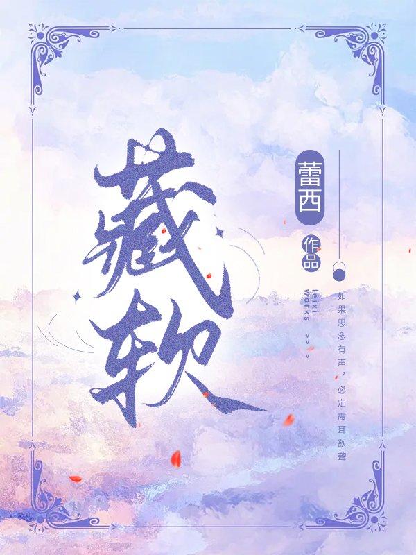 藏软件的计算机叫什么名字