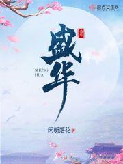 盛华集团简介