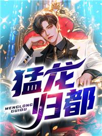 猛龙所在的城市 猛龙所在的城市