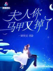 夫人你马甲又掉了简介
