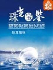 珠光宝鉴TXT