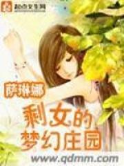 剩女的梦幻庄园简介
