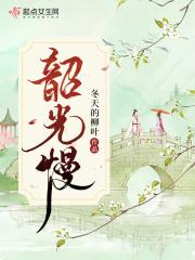 韶光慢讲的什么内容