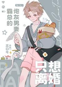 霸总男配