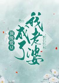 顶级爱豆成了我老婆 作者那天午后