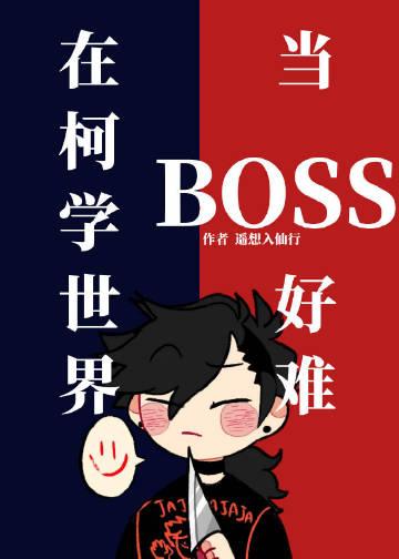 在柯学世界装好