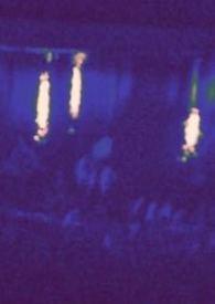 热狗与黑胶h 热狗与黑胶h