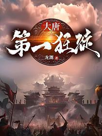 大唐第一狂徒动画