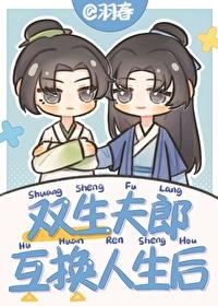 双生夫郎互换人生后txt阅读