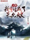 大明我重生成了朱允炆的