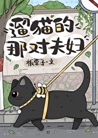 遛猫的那对夫妇by板栗子