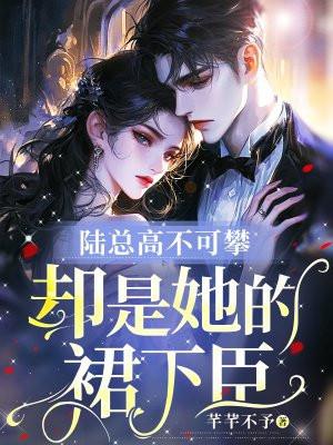陆总的电视剧陆总电视剧