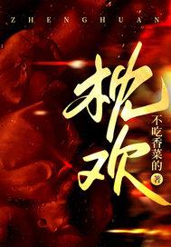 枕欢情