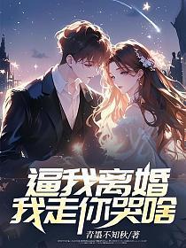 女主叫叶清歌