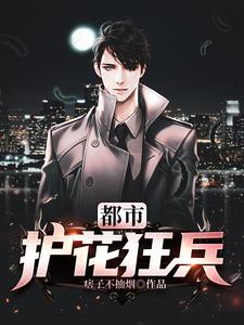 都市护花狂兵叶辰