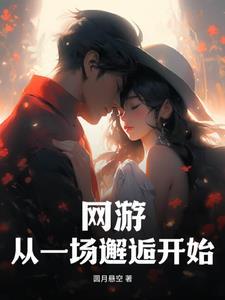 网游之一场邂逅免费阅读