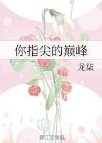 你指尖的巅峰龙柒最新章节
