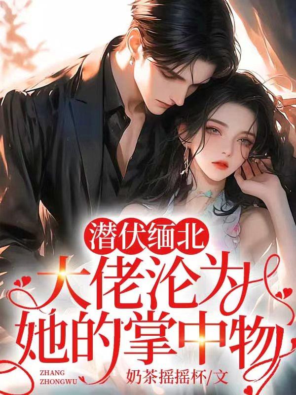 缅北逃犯自首