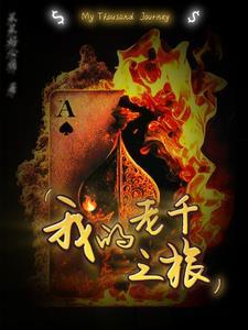我的老千之路第二卷