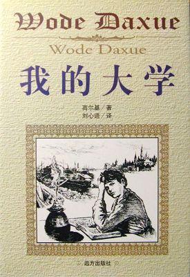 我的大学读后感
