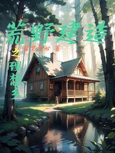 荒野建房子的视频