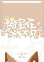 鸣宝在暗黑本丸txt