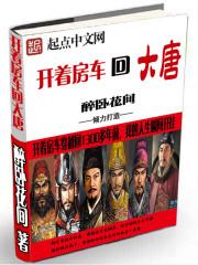 开着房车回大唐TXT