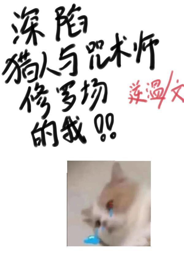 深陷猎人与咒术师修罗场的我免费观看