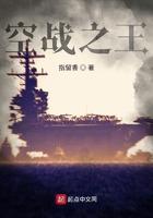 空战之王是什么武器