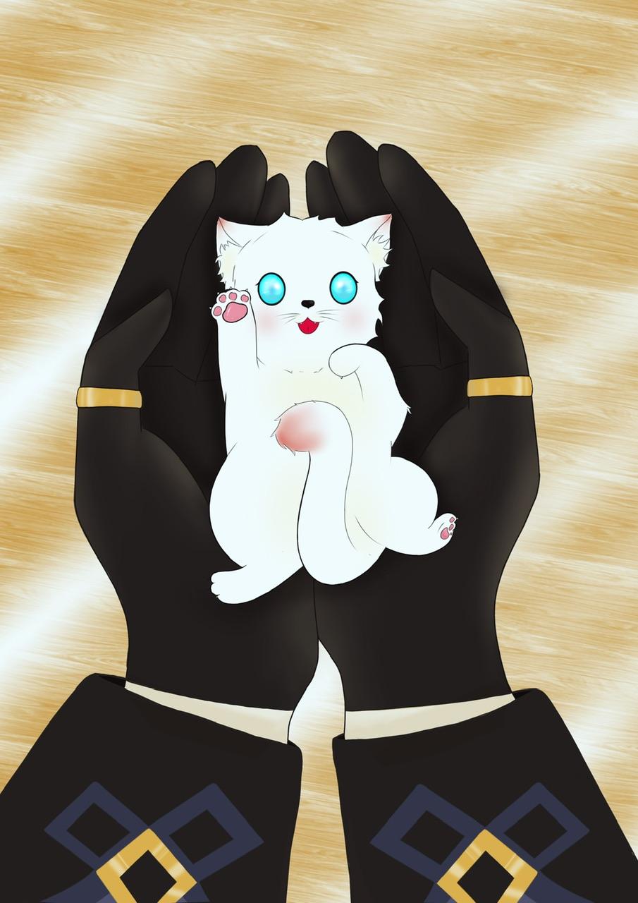原神猫猫图片
