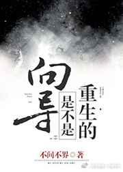 向导是不是重生的攻是谁