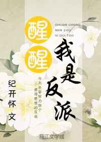 醒醒我是反派纪开怀
