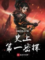史上第一密探多少章