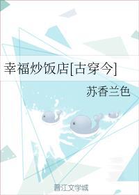 幸福炒饭店[古穿今