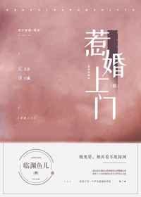 惹婚上门讲的什么