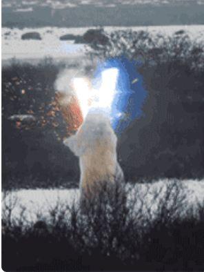 一剑破开生死路女主几个