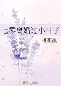 七零离婚过小日子 百度
