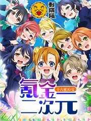 氪金二次元作者十六夜天