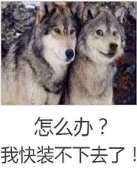 我竟成了不留姓名的大佬苹果味咖啡