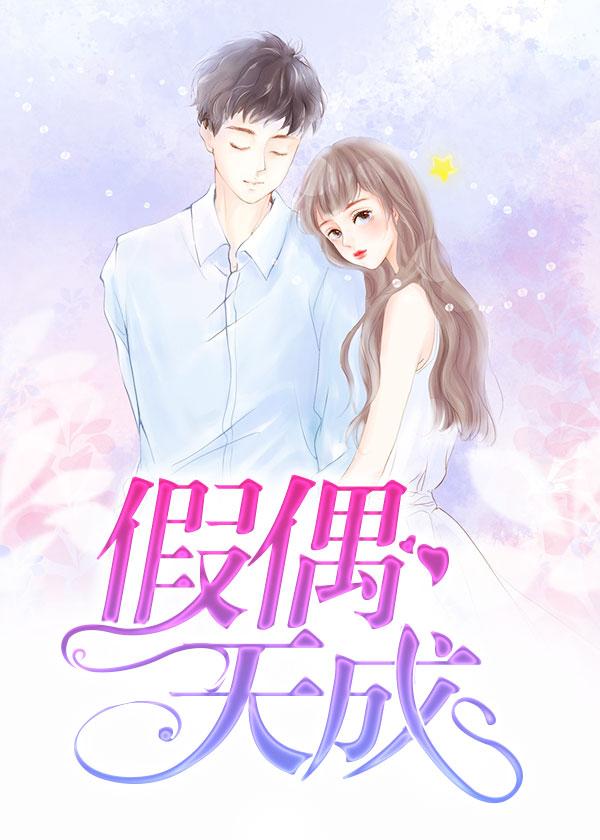 假偶天成原著
