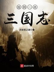 捡到一本三国志讲的什么