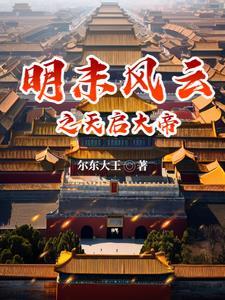 明末风云之天启大帝txt