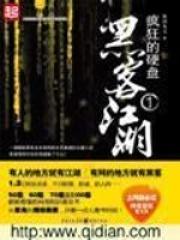 疯狂的硬盘 银河九天