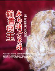 偷香窃玉我的赌石生涯生全集免费阅读