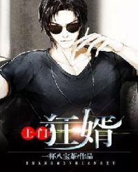 上门狂婿沈冲